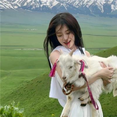 银魂：最终篇